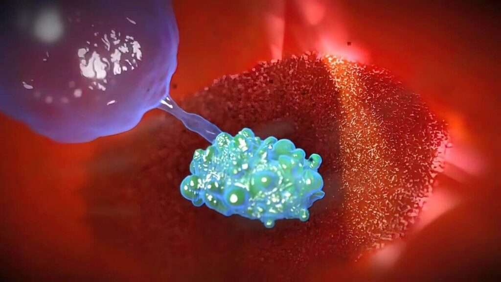 Antibodies