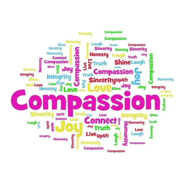 Compassion and Kindness