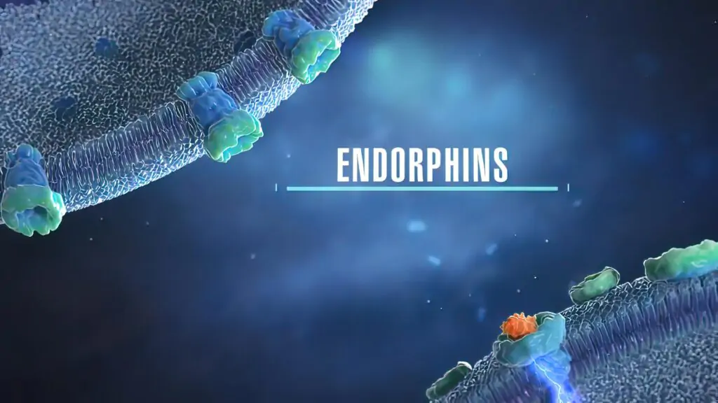 Chronic Pain Relief Endorphins, Beta-endorphins and Kindness