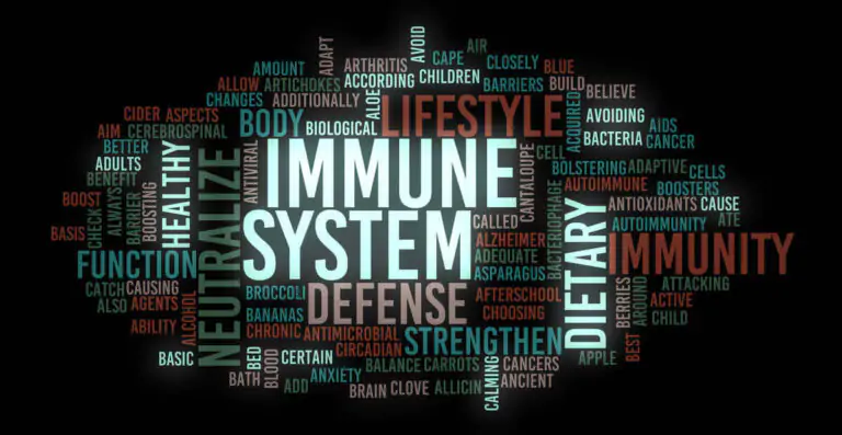 The Immune System - Immune-system Graphic