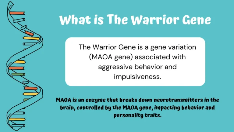The Warrior Gene Infographic